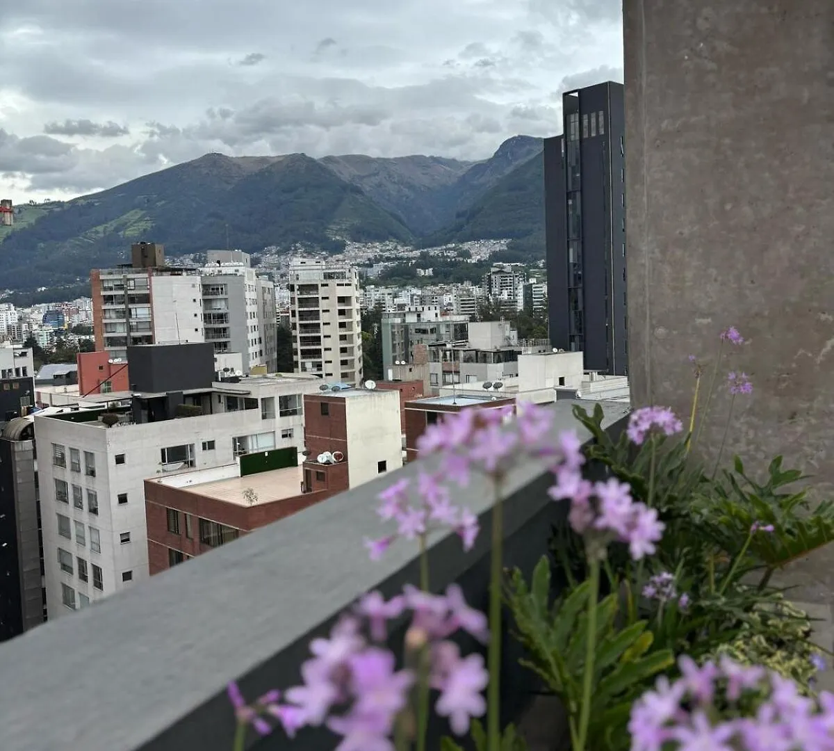 Torre Pontina Building In Carolina Apartamento Quito